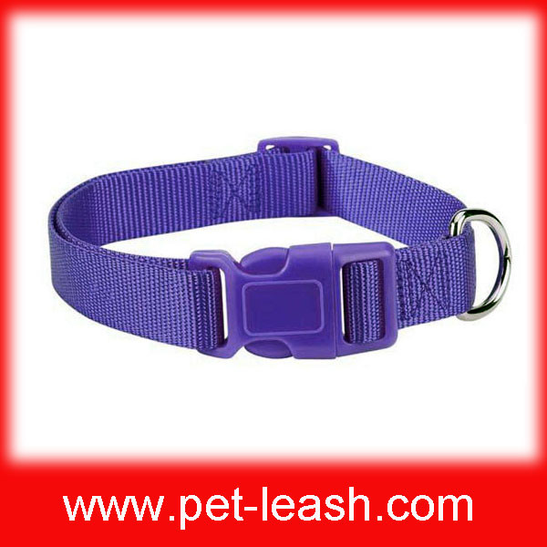 China Good wear-resisting plain nylon pet collar QT-0039 on sale