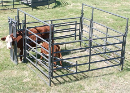 Quality Long Lasting Powder Coating Heavy Duty Cattle Panel 1.8m X 2.1m for sale