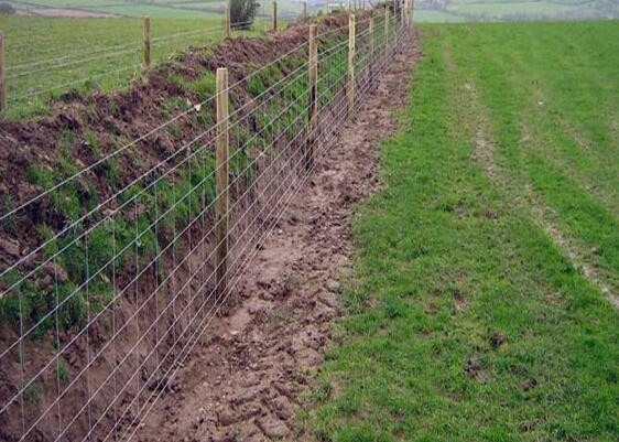 Quality Electric Galvanized Iron Wire Cattle Mesh Fencing For Livestock for sale