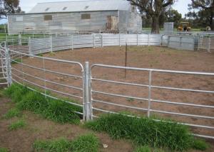 Quality Cattle 1.12m Height Weld Mesh Sheep Panels Silver Spray Paint for sale