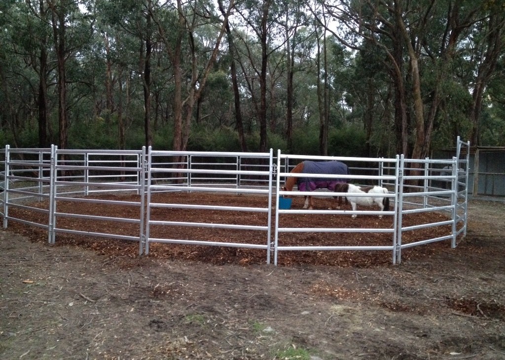 Quality Durable High Strength Portable 40x80mm Oval Rail Cattle Yard Gates 2.1m Width for sale