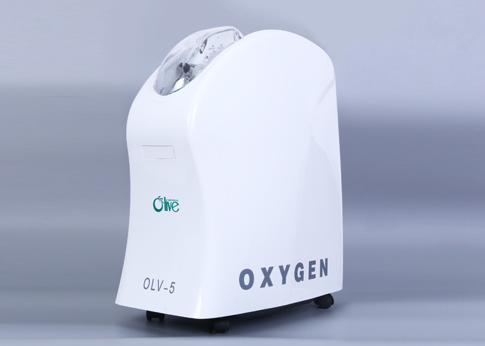 Quality Rechargeable Battery Operated Oxygen Concentrator , AC / DC 20 Liter Oxygen Concentrator for sale