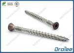 304/316 Stainless Steel Painted Trim Head Decking Screw Torx Drive Double Thread