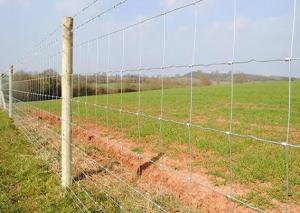 Quality 2.4m Hot Dipped Galvanized Steel Cattle Fencing Security Field Agricultural for sale