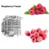 Buy cheap Model LSD1-500 Raspberry/Mangon Flash Freeze Machine For Sale from wholesalers