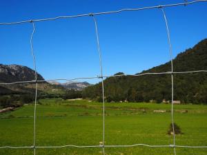 Quality Galvanized Fixed Knot 1.5mm Mesh Farm Fence For Deer Cattle Horse for sale