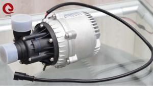Quality IP67 24VDC Brushless DC Motor Water Pump For Electric Vehicles Low Noise for sale