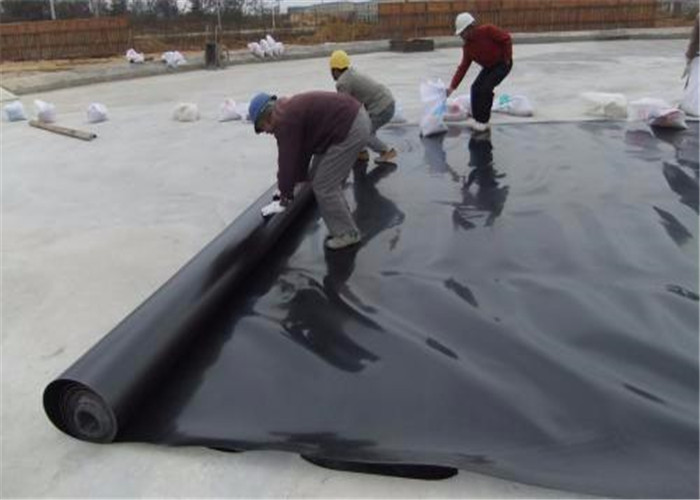 Quality Fish Farming Pond Liner Geomembrane In Hdpe 1.0mm for sale