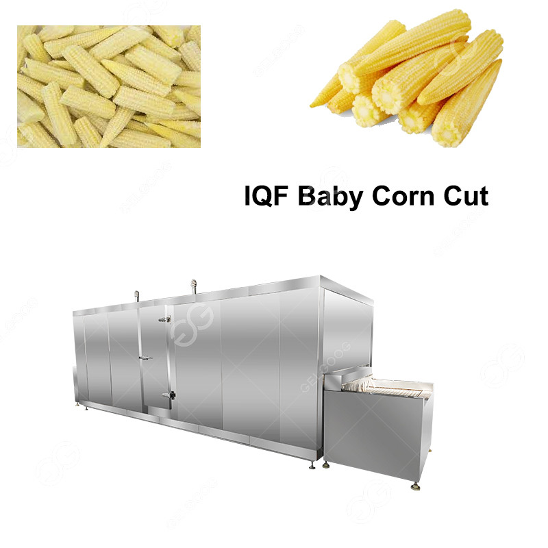 Quality Industrial Baby Corn Cut Instant Freezing Machine/Freeze Drying Machine for sale