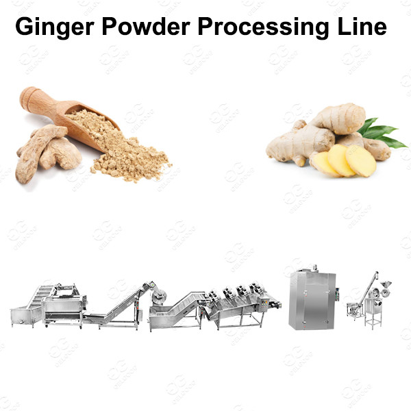 Quality Commercial 500kg/H Dry Ginger Grinding Machine Line /Ginger Powder Business LIne for sale