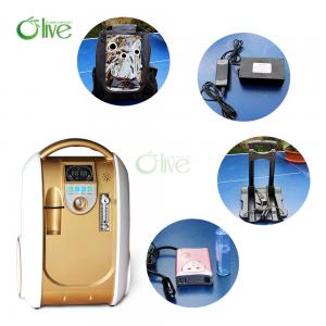 Quality Intelligent Portable Car Oxygen Concentrator Adjustable Flow Sustained Oxygen Supply, for sale