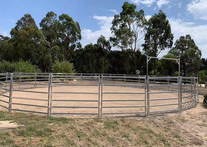 Quality Galvanized Pipe Fence 1.8x2.1m Heavy Duty Horse Panels Welded Wire for sale