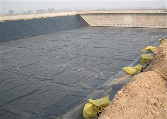 Quality Fish Pond Polyethylene Geomembrane Waterproof Aquaculture Hdpe Impervious for sale