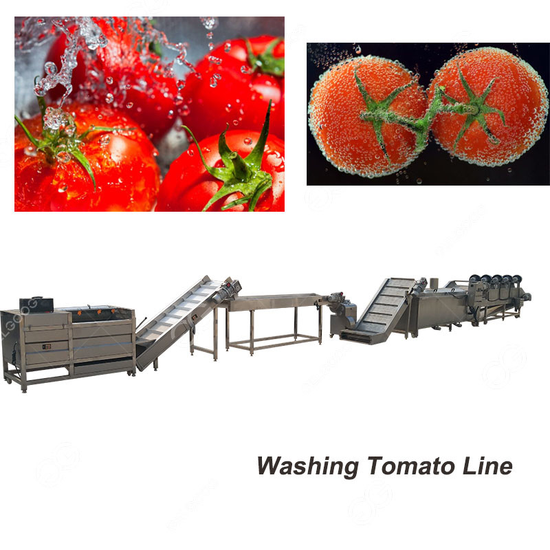Quality Industrial Fruit Washing Machine For Sale/Tomato Whishing Machine Line for sale
