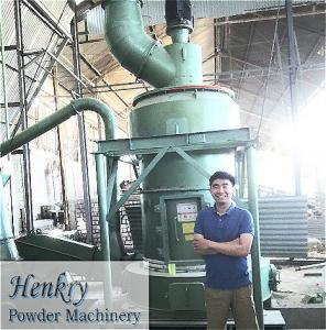 Quality High Capacity Pendulum Roller Grinding Mill Precise Powder Fineness Control for sale
