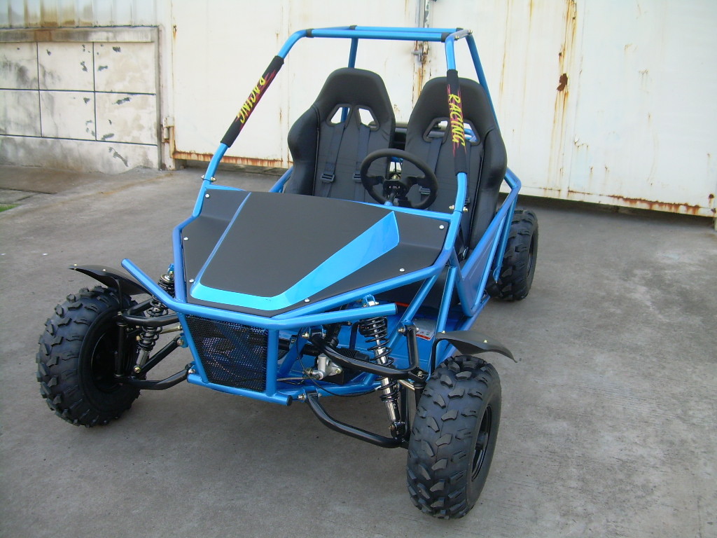 Buy cheap Blue 150CC Go Kart Dune Buggy Automatic Transmission With Sport Style from wholesalers