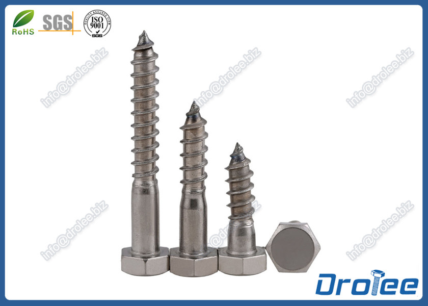 Quality A2 / 304 Stainless Steel DIN 571 Hex Wood Screw, Lag Screw for sale
