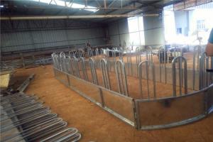 Quality Cattle / Horse 1.06m Round Hay Feeder Livestock Handling Equipment for sale