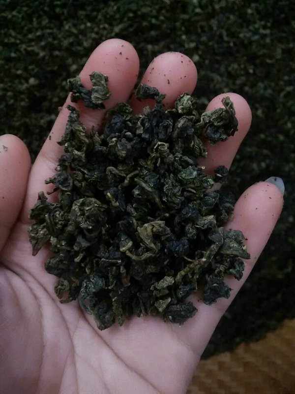 Quality High Grade Tieguanyin Oolong Tea , Fermented Organic Gaba Tea for sale