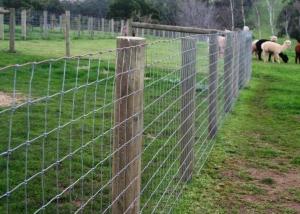 Quality Full Galvanized 1.2m Fixed Knot Wire Cattle Fencing for sale