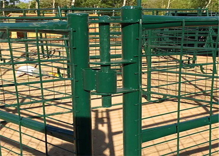 Quality Green Coated Lightweight Horse Corral Panels 5&quot; 3'' Tall By 7&quot; Long Round Pipe for sale