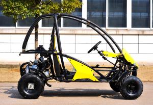 Quality 4 Wheels Gas Electric CVT Go Kart For Farm , Go Kart Kits KD 110GKT-2 for sale