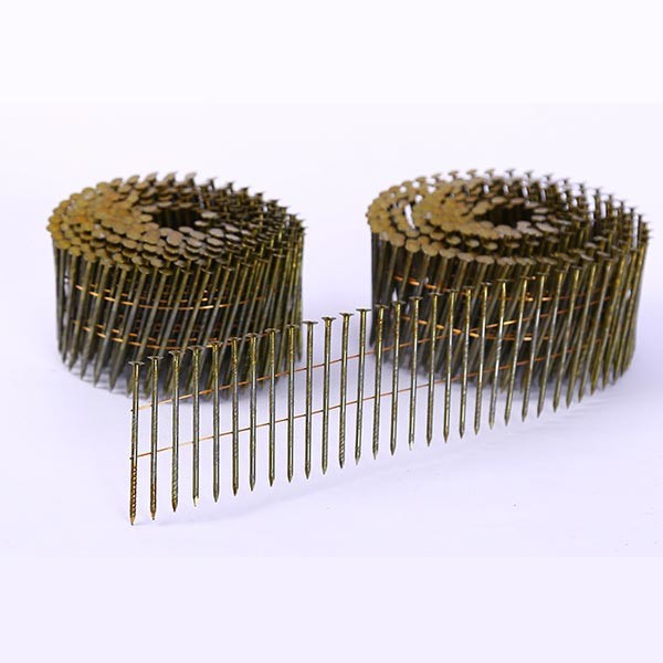 Quality Screw Siding  Hot Dipped Galvanized Coil Nails for sale