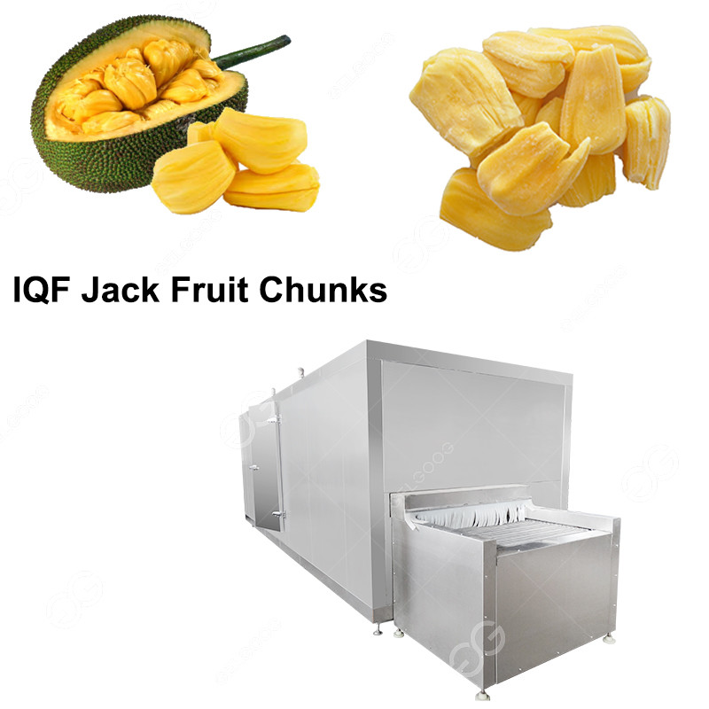 Quality 300KG/H Jack Fruit Chunks Flash Freezing Industry for sale