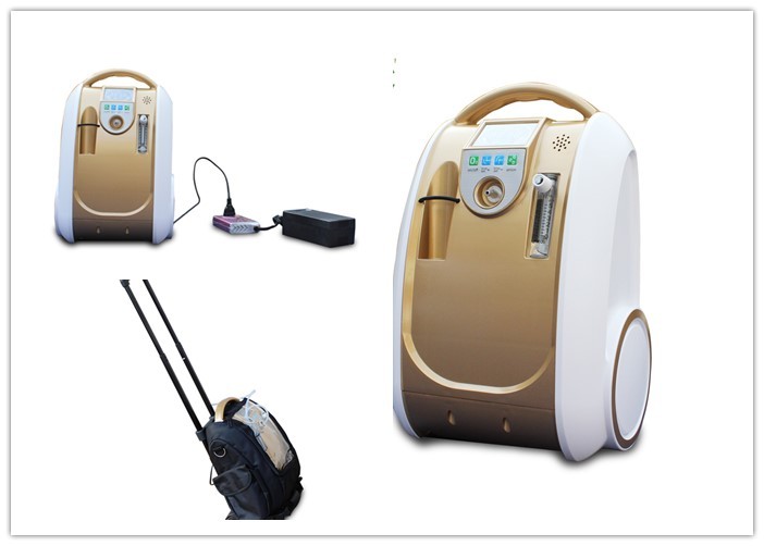Quality High Flow Portable 10 Liter Oxygen Concentrator Lightweight Low Power Consumption for sale
