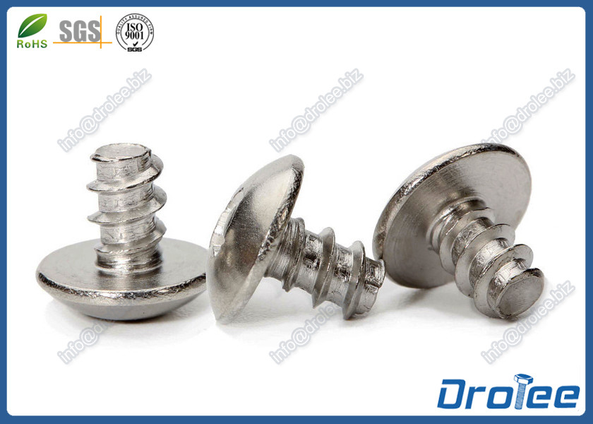 Quality 304/316 Stainless Steel Philips Truss Head Type B Tapping Screw for Plastics for sale