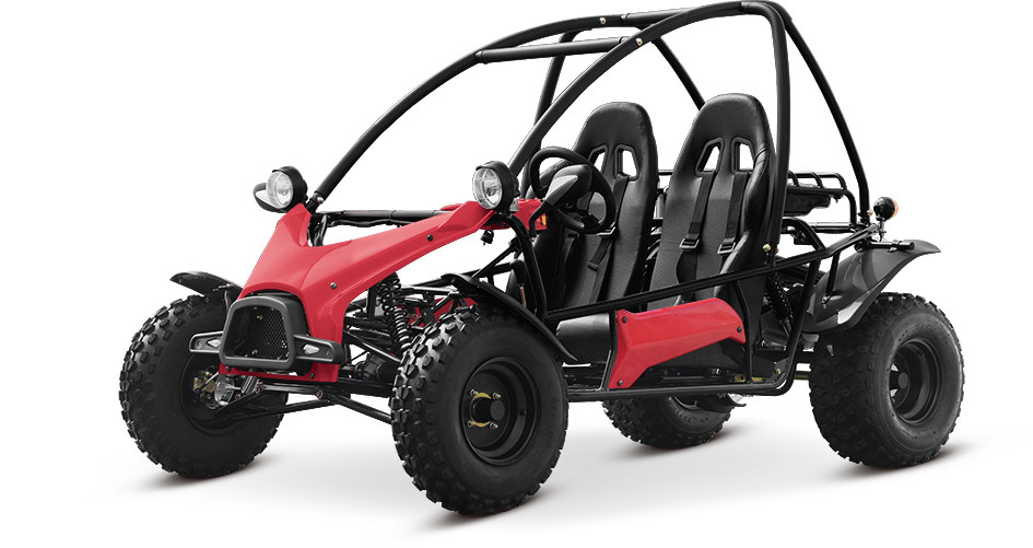 Quality 200CC Multi - Function Ourdoorv CVT Dune Buggy Racing Go Kart for Adult for sale