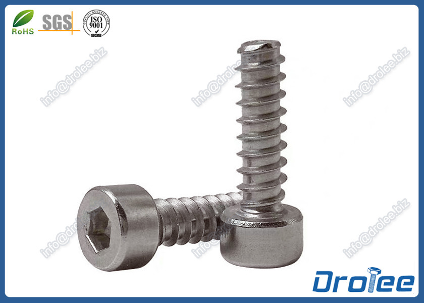 Quality 304 / A2 Stainless Steel Allen Socket Cap Head Tapping Screw, Type "B" for sale