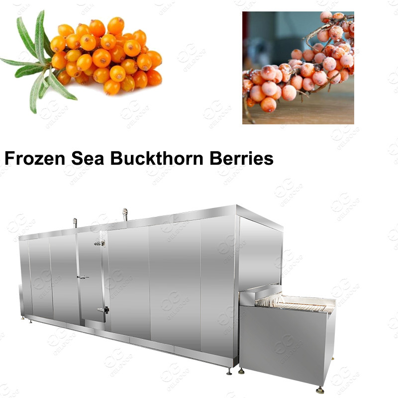 Quality Idustrial 1000KG/H Freezing Equipment For Sea Buckthorn Berries Processing for sale