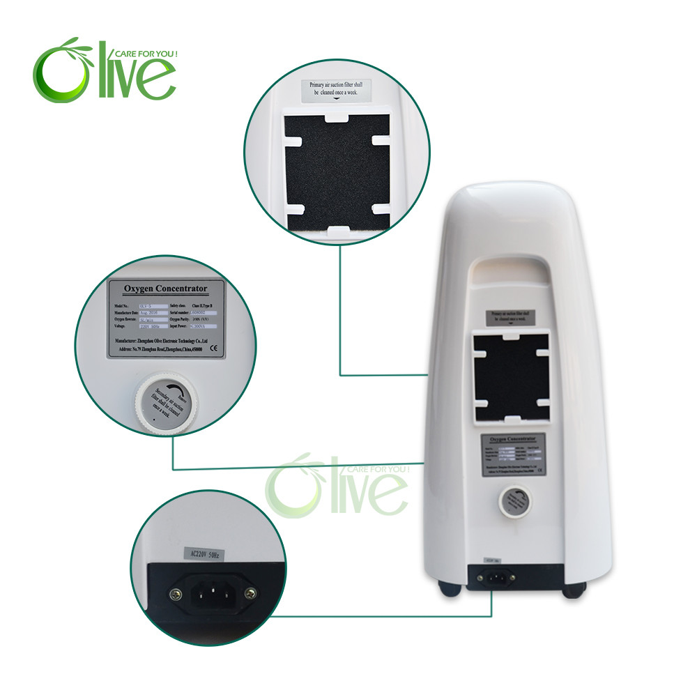 Quality Constant Flow Portable Oxygen Concentrator , Mini Psa Oxygen Concentrator Nebulizer For Care Skin for sale