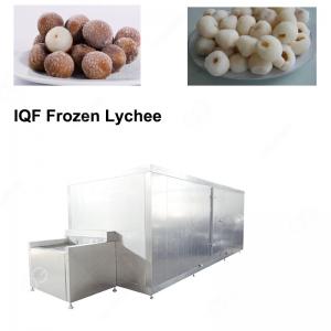 Quality Hot Sale IQF Peeled Lychee Flash Freeze Machine For Sale for sale