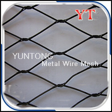Quality Rust Resistant Black Oxide Stainless Steel Wire Mesh for sale