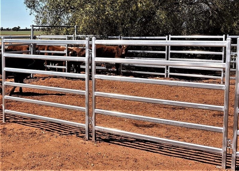 Quality Hdg Tube Australia 1.8m High Heavy Duty Cattle Panel With 6 Bars for sale