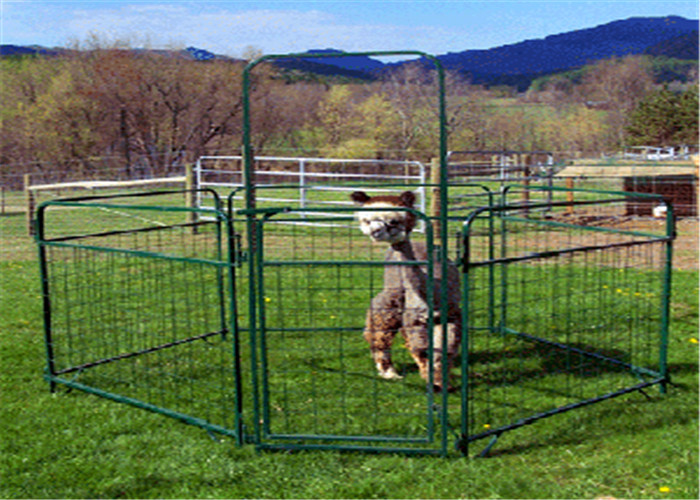 Quality Round Pen Q235 Sheep Goat Fence Panels Metal Heavy Duty Fully Welded 7&quot; Long for sale
