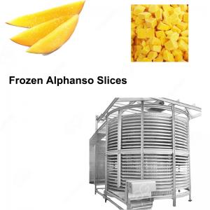 Quality Model LSD2-1500 Frozen Alphanso Slices Quick Freezing Machine for sale