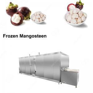 Quality 1000KG/H Mangosteen Quick Freezing Machine Malaysia for sale
