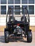 150CC Go Kart Dune Buggy Automatic Transmission Outdoor Go Karting