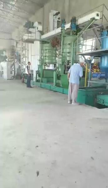 Buy cooking peanut coocnut palm linseed rapeseed oil press line expeller extraction machine at wholesale prices