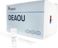 Quality High Accuracy Rapid Test Kit Virus Nucleic Acid Purification Reagents for sale