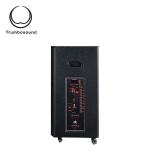 Bluetooth Multifunction Mobile Speaker 15 Inch Two Way Loudspeaker Wifi