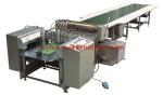 Sheet Pasting Machine, Single Faced Corrugated Sheet + Surface Paper, to make 3