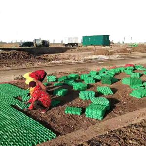 Quality PP Grass Paving Grids Geocell for Driveway Elite Black Green Surface Welding Cell Material for sale