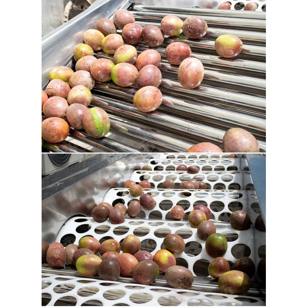 Processing Production Inspecting Grading Fruit Vegetable Onions Saiko persimmon Apple Potato tangerine passion fruit avocado cherry Mango pear banana