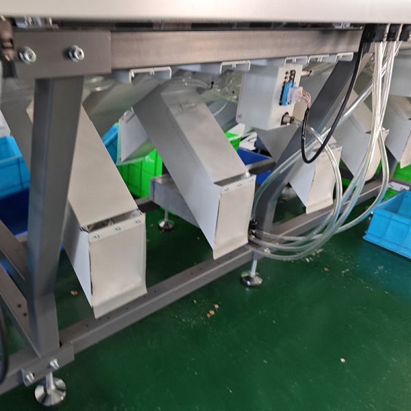 AI image recognition baked onion sorting machine