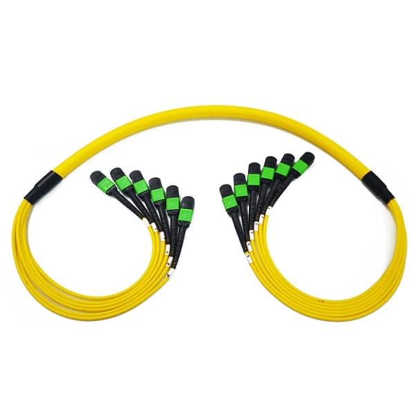 MPO / APC Fiber Optic Trunk Cable 24 Core 48 Core Sm Ofnp