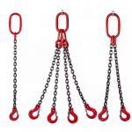 China 48kN Test Load G80 2 Legs Chain Sling for Durable and Versatile Lifting Needs for sale